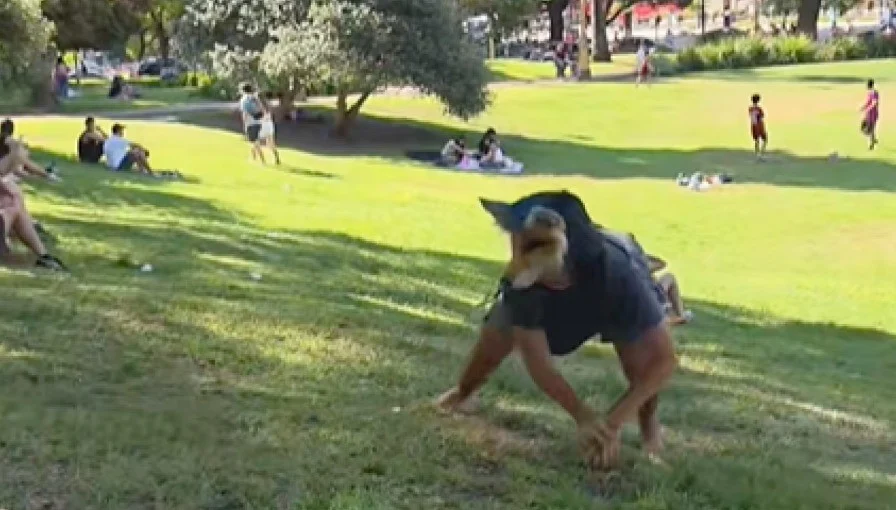 ¿Qué diablos son los therian y cómo aparecen en Juárez?