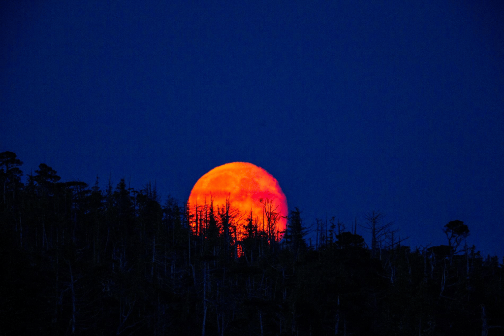 La Luna se teñirá de rojo: así podrá verse el eclipse lunar desde&nbsp;México